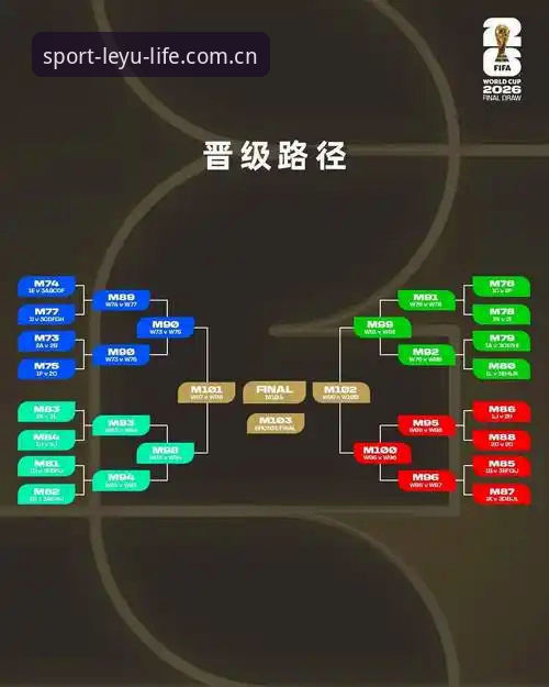 欧冠决赛与世界杯备战：梅里诺康复状态完整指南